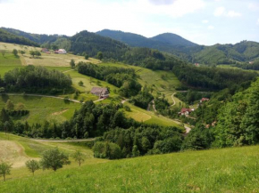 Moosblick